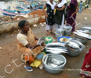 рыбный рынок, Каньякумари, Индия