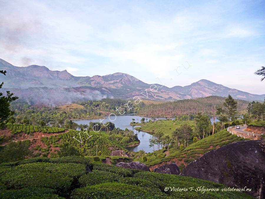 озеро посреди чайных плантаций, Муннар, Индия
