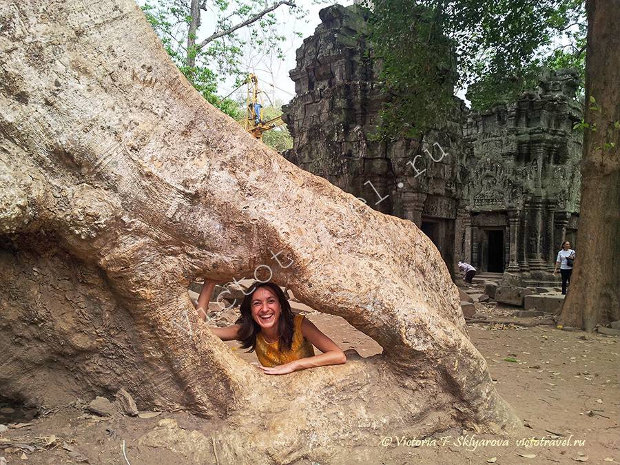 храм Та Прохм, Сием Рип, Камбоджа