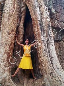корни дерева в Та Прохм, Сием Рип, Камбоджа