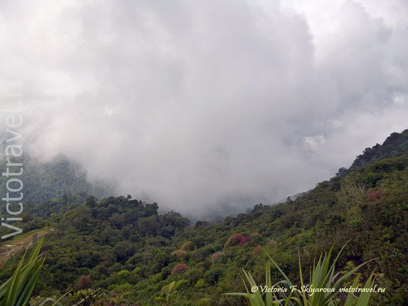 облака, холмы, лес, вулкан Сибаяк, Берастаги, Суматра, Индонезия