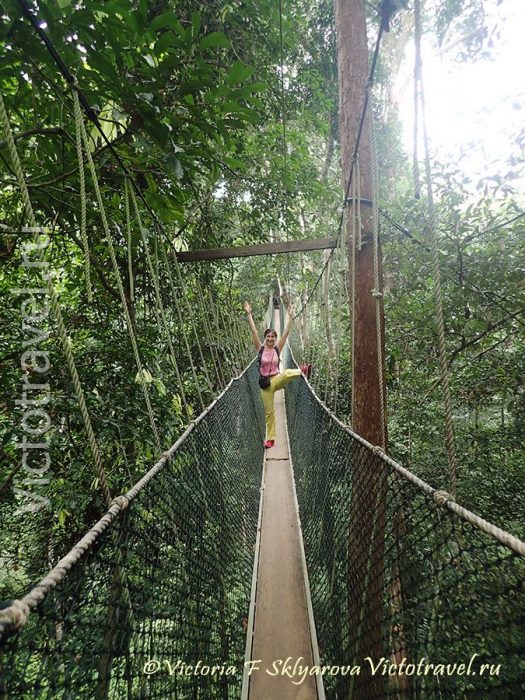 Таман Негара-национальный парк, Малайзия