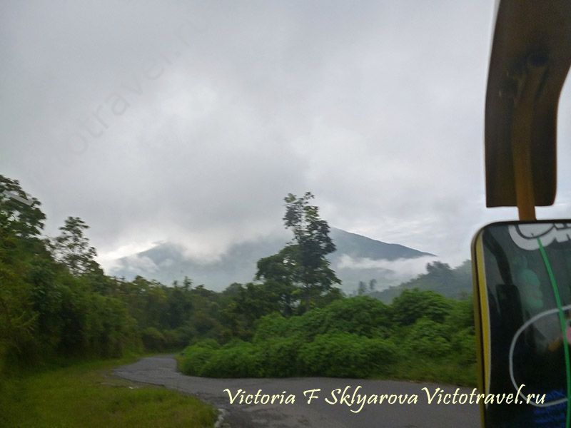 дорога, дерево, гора Мерапи, туча, западная Суматра, Индонезия