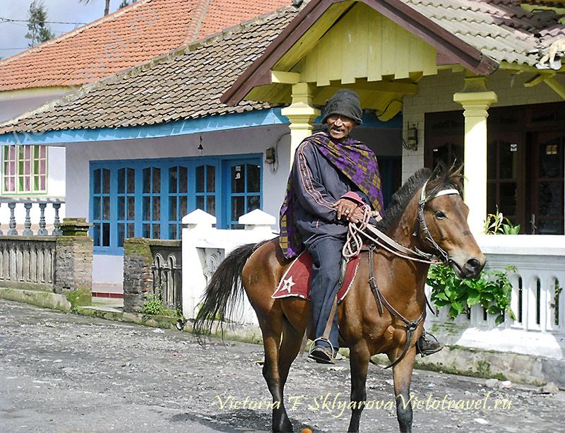 Всадник на лошади, пожилой Тенггер, Бромо, Ява, Индонезия
