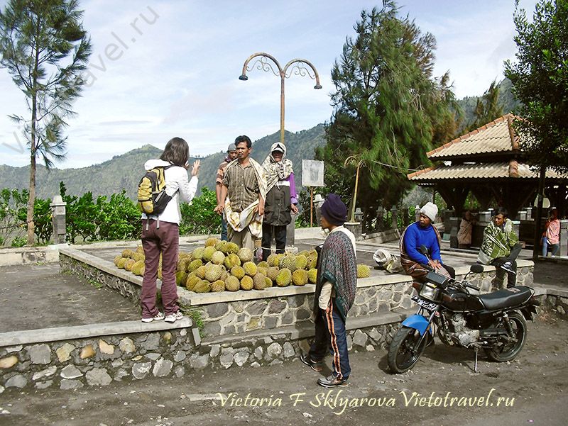 Продают дурианы, я выясняю цену у вулкана Бромо, Ява, Индонезия
