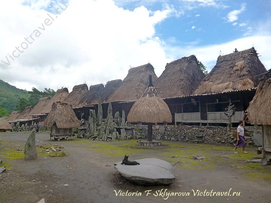 Бена Bena традиционная деревня, Флорес, Индонезия