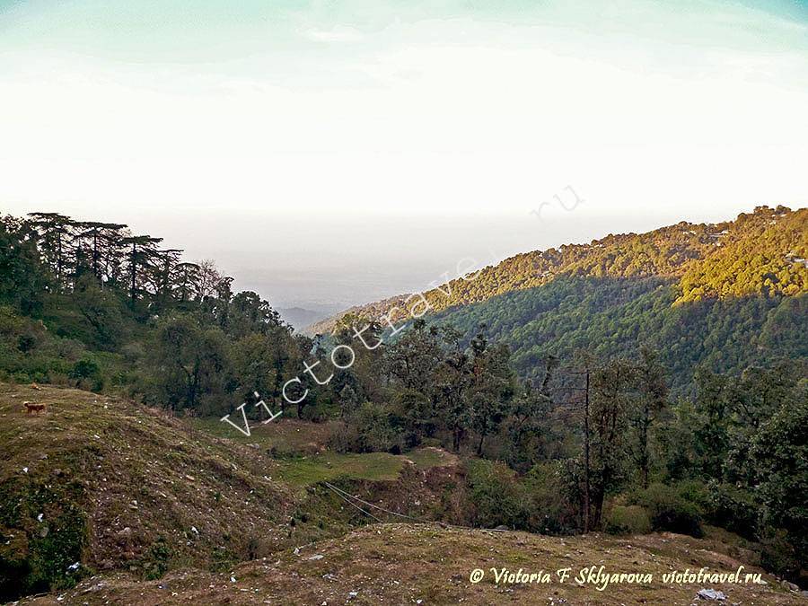 горы, природа, Маглеод гандж, Индия