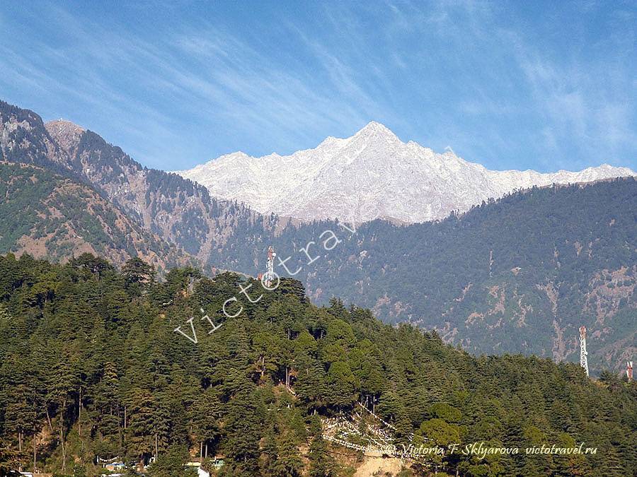 горы, Гималаи, Маклеод ганж, Дарамсала, Индия