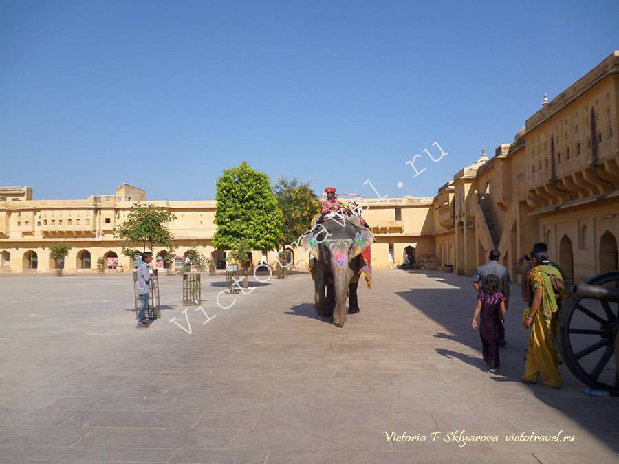 Дворец и форты, Джайпур, Индия