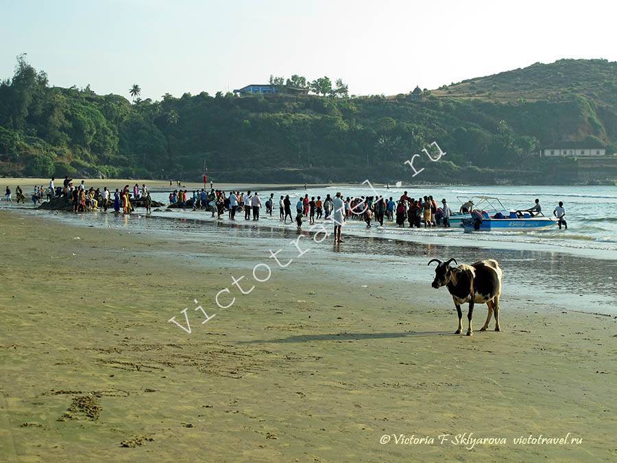 Гокарна, море, люди, пляж, Индия