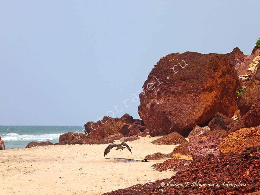 южный клиф, пляж, море, Варкала, Индия