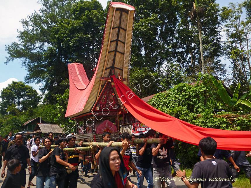 funeral ceremony, Toraja, Sulawesi, Indonesia