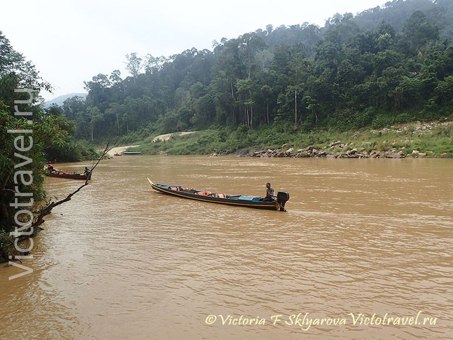 река, лес, парк Таман Негара, путешествие в Малайзии