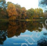 пруд в Москве, деревья, осень