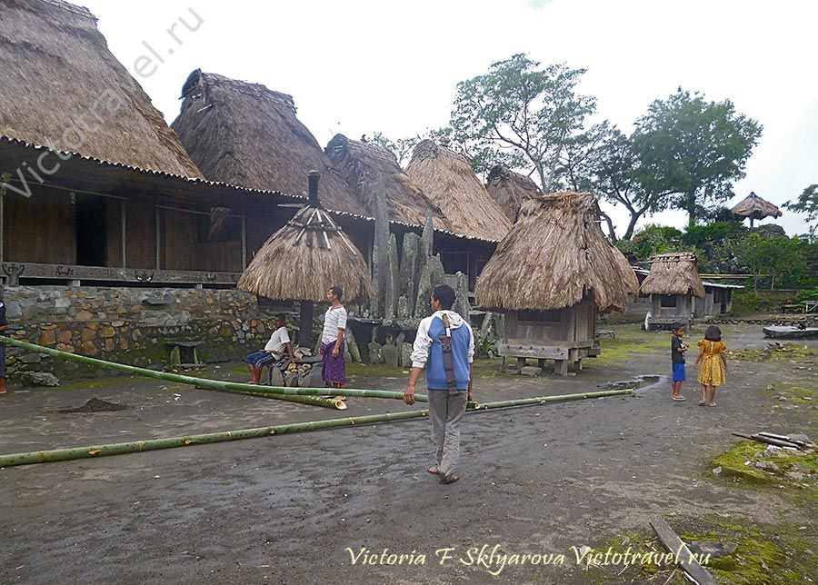 Бена Bena традиционная деревня, Флорес, Индонезия